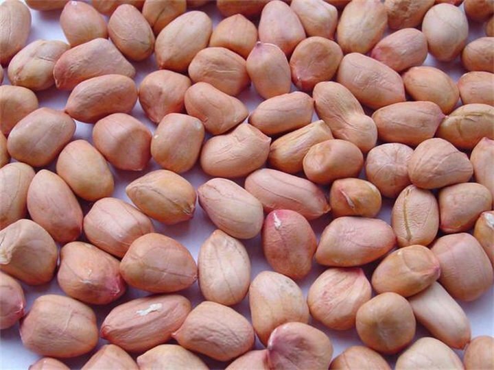حبات الفول السوداني