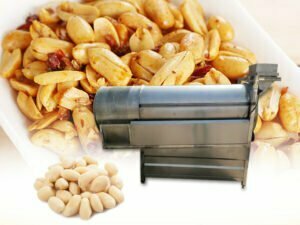 The fried food flavoring machine