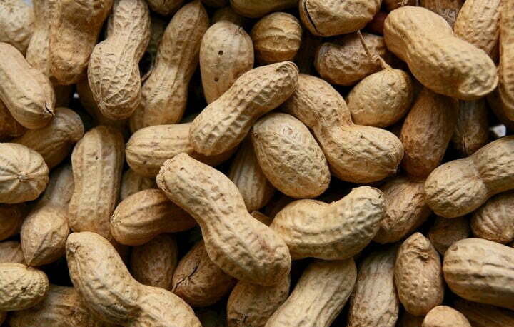 Peanut in india