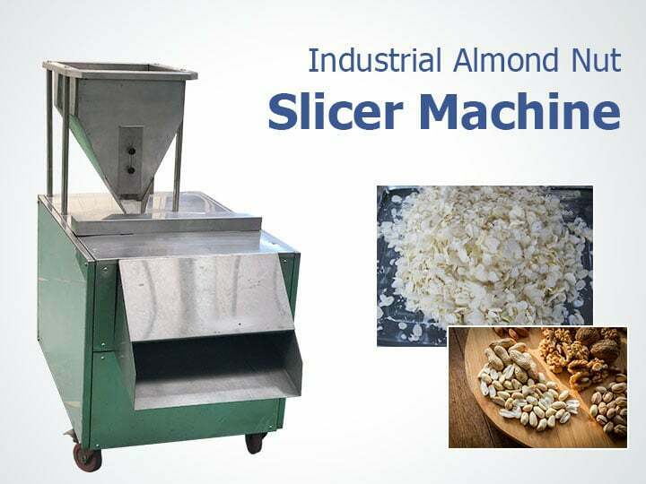 Industrial almond nut slicer with raw nuts and finished slices
