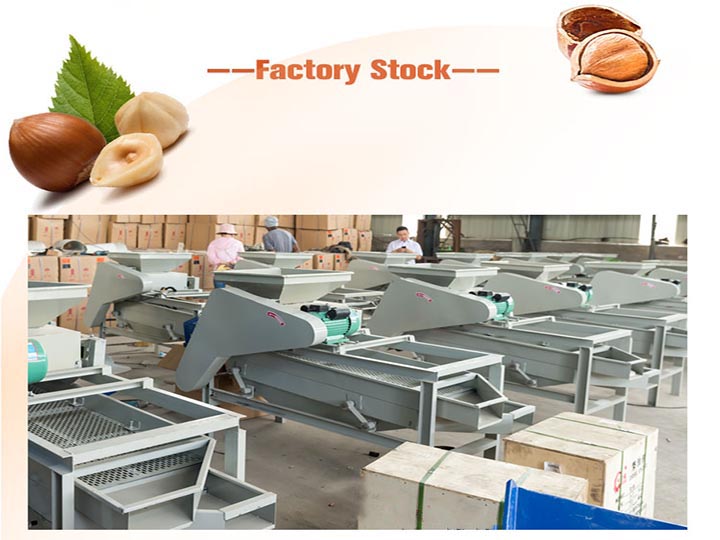 Almond shelling machine in factory