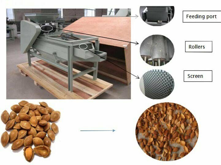 Almond shelling machine structure details