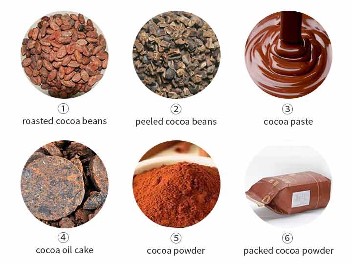 Processus de fabrication de la poudre de cacao 1