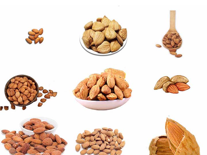 Almond and other nuts